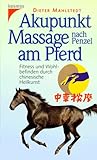 Image de Akupunkt-Massage nach Penzel am Pferd: Fitness und Wohlbefinden durch chinesische Heilkunst