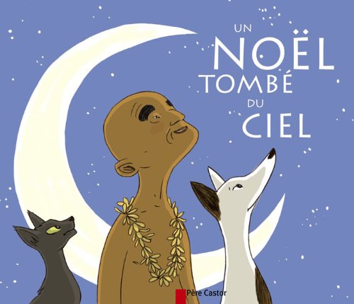 couverture de : un Noël tombé du ciel