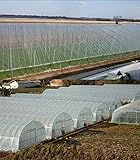 Proporciona mayor transmisión de luz para fotosíntos de plantas, humedad para plantas y cultivos para mejorar el rendimiento y la calidad.