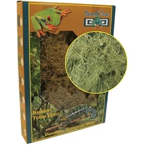 Namiba Terra 1428 Flechtenmoos - Feenhaar, lebend, 4 Liter, Kann mit Wasser reaktiviert werden