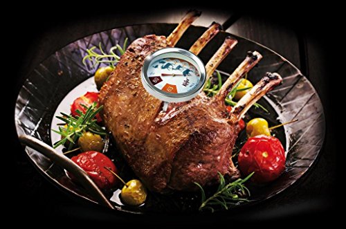 Käfer T720E Wild-Thermometer, analog - 2