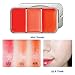 SKINFOOD LIP And CHEEK 1+1 Set Fresh Fruit Trio Color Lip Cheek Gloss Balm Shadow (Mini Tomato 1+1)