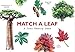 Produktbild Match a Leaf A Tree Memory Game:A Tree Memory Game (Games)