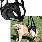 Größe klein Gehhilfe Hundegehilf