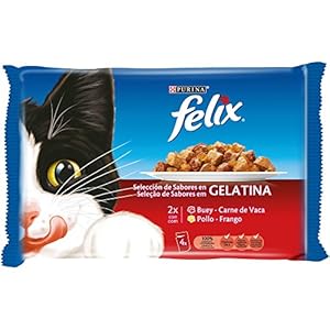 Purina Felix Gelatina comida para gatos con surtido de carnes 10 x [4 x 100 g]