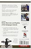 Image de Birds, Mammals and Reptiles of the Galapagos Islands: An Identification Guide (Helm Field Guides)