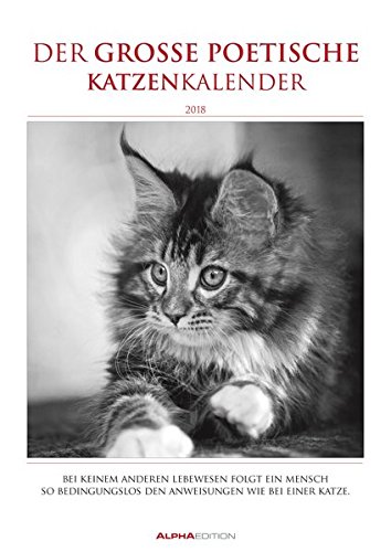 Der große poetische Katzenkalender 2018 - Literarischer Bildkalender A3 - mit Zitaten - schwarz/weiß - Tierkalender