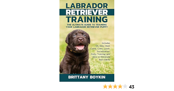 crate training labrador