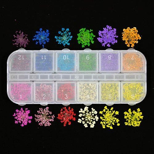 Five pieces each case case 12 colors x dried flower [race] to nail and pressed flowers 60 pieces Resin Art