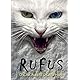 Rufus: ¡Un lindo gatito!