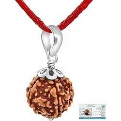 51395ocagcL. AC UL250 SR250,250