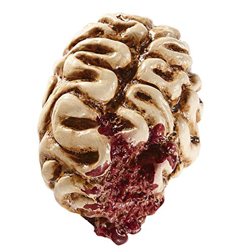Terrorífica  decoración de cerebro humano | Aprox. 16 cm de altura | Escalofriante decoración para fiesta de halloween cerebro | EL centro de las miradas para fiestas terroríficas y fiestas de terror