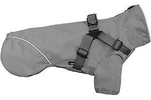 BT Bear Chubasquero para perros pequeños, chaqueta impermeable para perros pequeños, chaqueta impermeable para perros pequeños, gris M