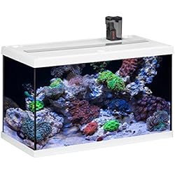 Eheim Aquastar 63 Marin - Acuario para acuariofilia, color blanco, 2 x 12 W, 63 L