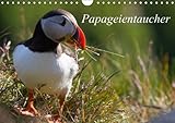 Papageientaucher (Wandkalender 2014 DIN A4 quer): Clowns unter den Seevögeln (Monatskalender, 14 Seiten) by