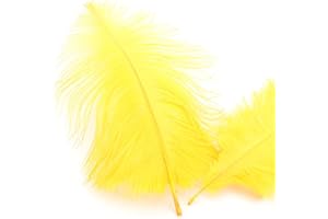 DUORIES 10 plumas avestruz naturales 15-20 cm,plumas avestruz para manualidades,atrapasueños,accesorios,decoración del hogar,disfraz,decoración mesa,boda,fiesta,sombrero,ropa,decoración,color amarillo