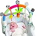Taf Toys Rainbow Pram Arch