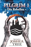 Cover zum Buch Pilgrim. Die Rebellen