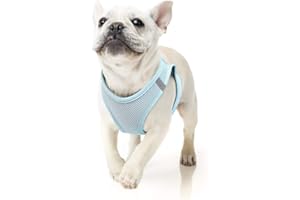 HEELE Pettorina per Cani, Pettorina per Cani di Piccola Taglia in Morbida Maglia Leggera Traspirante Riflettente Anti-fuga per Camminare Attività all'aperto, Blu, L