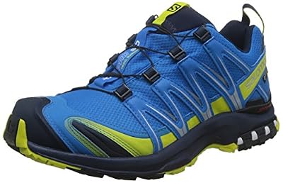 Salomon Homme XA Pro 3D GTX Chaussures de Course à Pied et Trail Running, Synthétique/Textile, Bleu, Pointure : 42 2/3