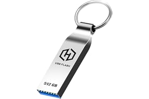 Locpof Chiavetta USB 512GB Pen Drive Alta Capacità Pendrive con Portachiavi Metallo Impermeabile Penna USB Memoria Esterna per PC Laptop Computer