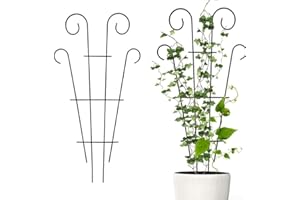 FEEGOW Traliccio per piante rampicanti all'aperto, traliccio da giardino rivestito nero Fan Pot graticcio da giardino in metallo palo di supporto per interni ed esterni viti fiori verdure