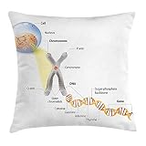 Come WITHOUT pillow core ERCGY Educational Throw Pillow Cushion Cover, Cell Chromosome DNA Gene Genome Study Double Helix Evolution Science Research, Decorative Square Accent Pillow Case, 18 X 18 Inches