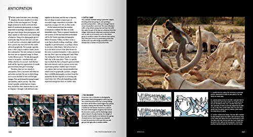 The Photographer's Eye Remastered 10th Anniversary: Composition and Design for Better Digital Photographs