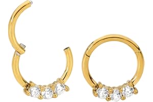 365 SLEEPERS 316L Surgical Steel Hypoallergenic 16G Gem Septum Jewelry Hinged Segment Ring Body Piercing Hoop Lip Rings Helix Cartilage Rook Sleeper Earrings 8mm – 10mm