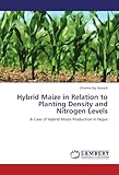 Image de Hybrid Maize in Relation to Planting Density and Nitrogen Levels: A Case of Hybrid Maize Production in Nepal