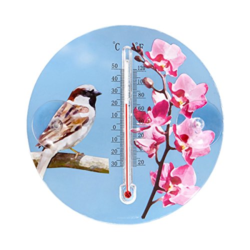 Preisvergleich Produktbild Unbekannt Fenster-Thermometer Orchidee