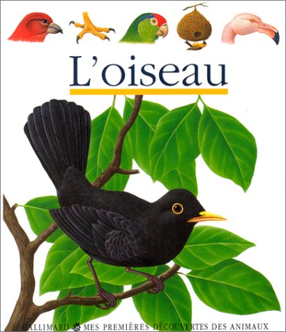 L' oiseau