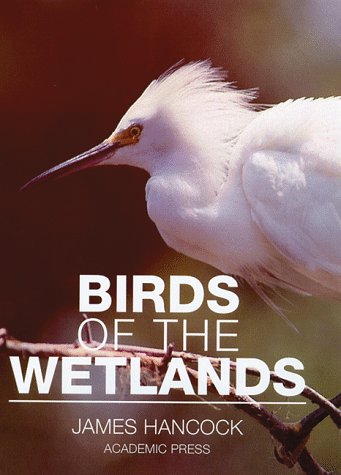 Birds of the Wetlands