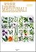 Le erbe medicinali