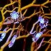 Produktbild Isuper Halloween LED dekorative Lichterkette Fledermaus 1,5 Meter 10 Lichter Farbbatterie Modelle 1 Packung