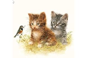 NOASR 20 servilletas de gato aptas como decoración de mesa para amantes de los animales, 33 x 33 cm
