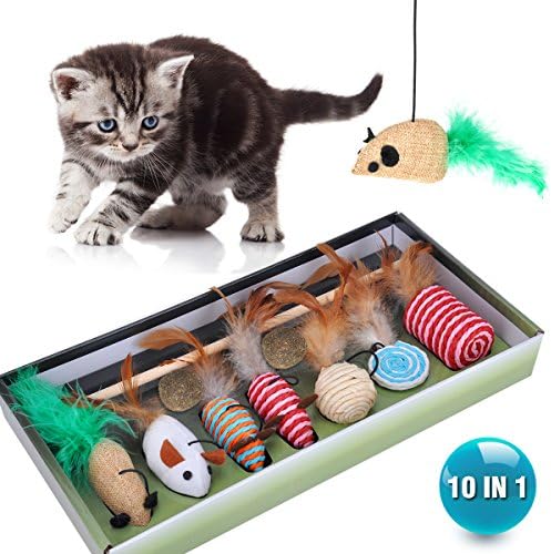 Miyare 10 in 1 Balls Cat Toy with Cats High Quality Fishing Pole Cat Toy Mice with 2 Catnip Ball, Interactive toy, cat