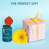 PREMIUM KINDERWAGEN MÜCKENNETZ von EVEN Naturals, Moskitonetz passt auf die meisten Kinderwägen, Babytragen, Autositze & Wiegen, Geschenktasche & eBook, Weicher Beständiger Fliegenschutz, 100% Zufriedenheitsgarantie - 6