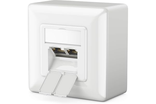 deleyCON 1x CAT 6a Universel Prise Réseau - 2x Port RJ45 - Blindé - Surface ou Affleurant - 10 Gigabit Ethernet Réseau - EIA/TIA 568B - Blanc