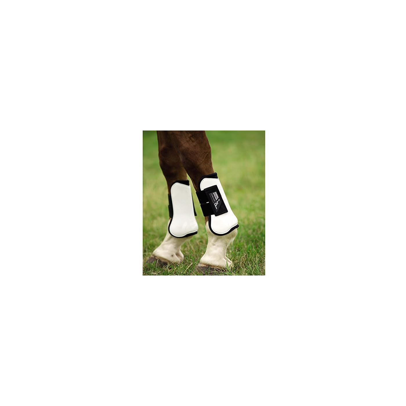 Horse ‘n’ Pony
