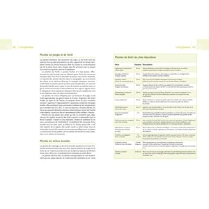 Terrarium naturel - immagine 4