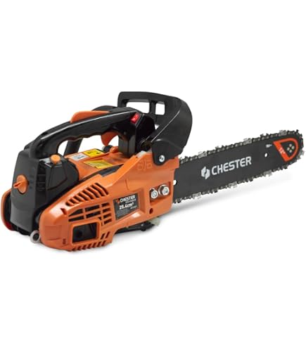Einhell BG-PC 1235 Benzin Kettensäge (Gebraucht) In Giswil Für CHF 80