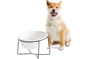 AHX Ceramic Dog Bowl - Elevated Cat Dog Bowl Set with Metal Stand for Water and Food - Raised and Tilted Pet Dish for Medium Dogs and Large Cats - Microwave and Dishwasher Safe - 28.7 oz
