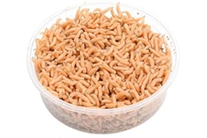 proinsects Pinky Maden 1 Liter | Pinkies | Angelmaden lebend