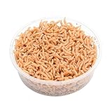 proinsects Italienische Pinky Maden - Pinkies - Angelmaden (30 g, 100 ml, 500 ml oder 1 Liter) (500 ml)