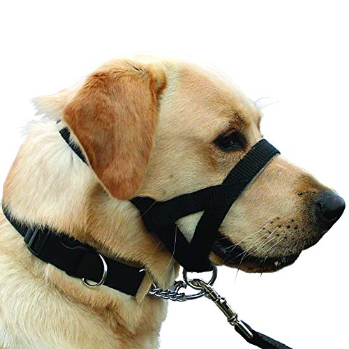 Kumfi Canine Kumfi Dogalter Size M, Black