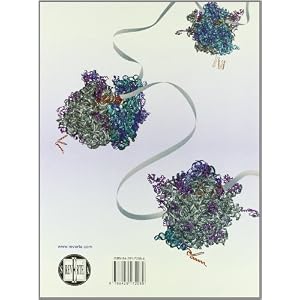 Bioquimica