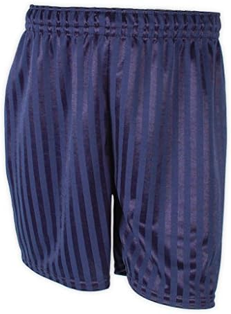 ND SportsSchool Shadow Stripe PE Shorts