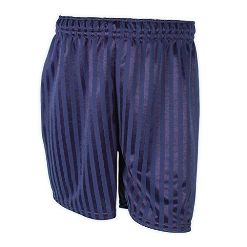 ND SportsSchool Shadow Stripe PE Shorts