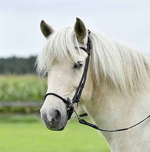 Preisvergleich Produktbild Busse Trense BRAID-HANNOVER-ICE, Island, schwarz / Kordel-schwarz